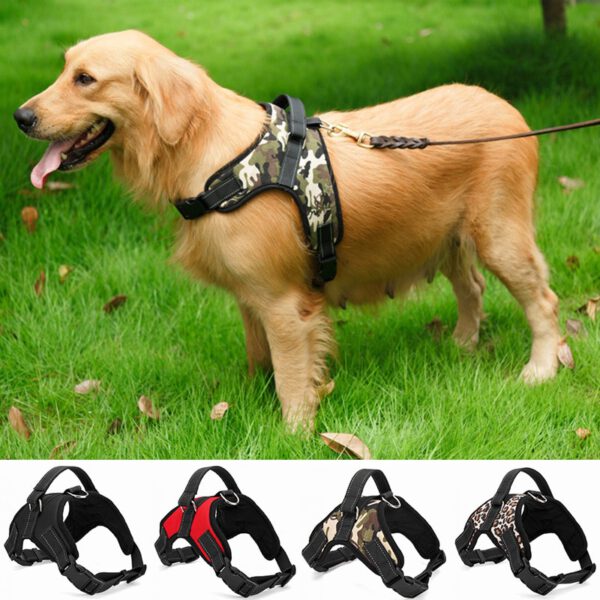 the best nylon casual harness for dogs for stopping pulling