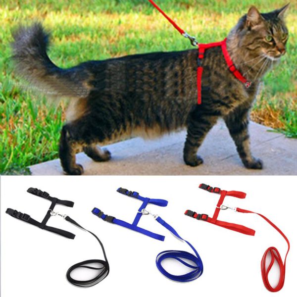 Cat Harness and Leash Adjustable for Walking
