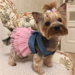 ruffled summer dog dress for party