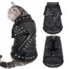 Leather Jacket for Cats In Black Color - Nurturing Pets