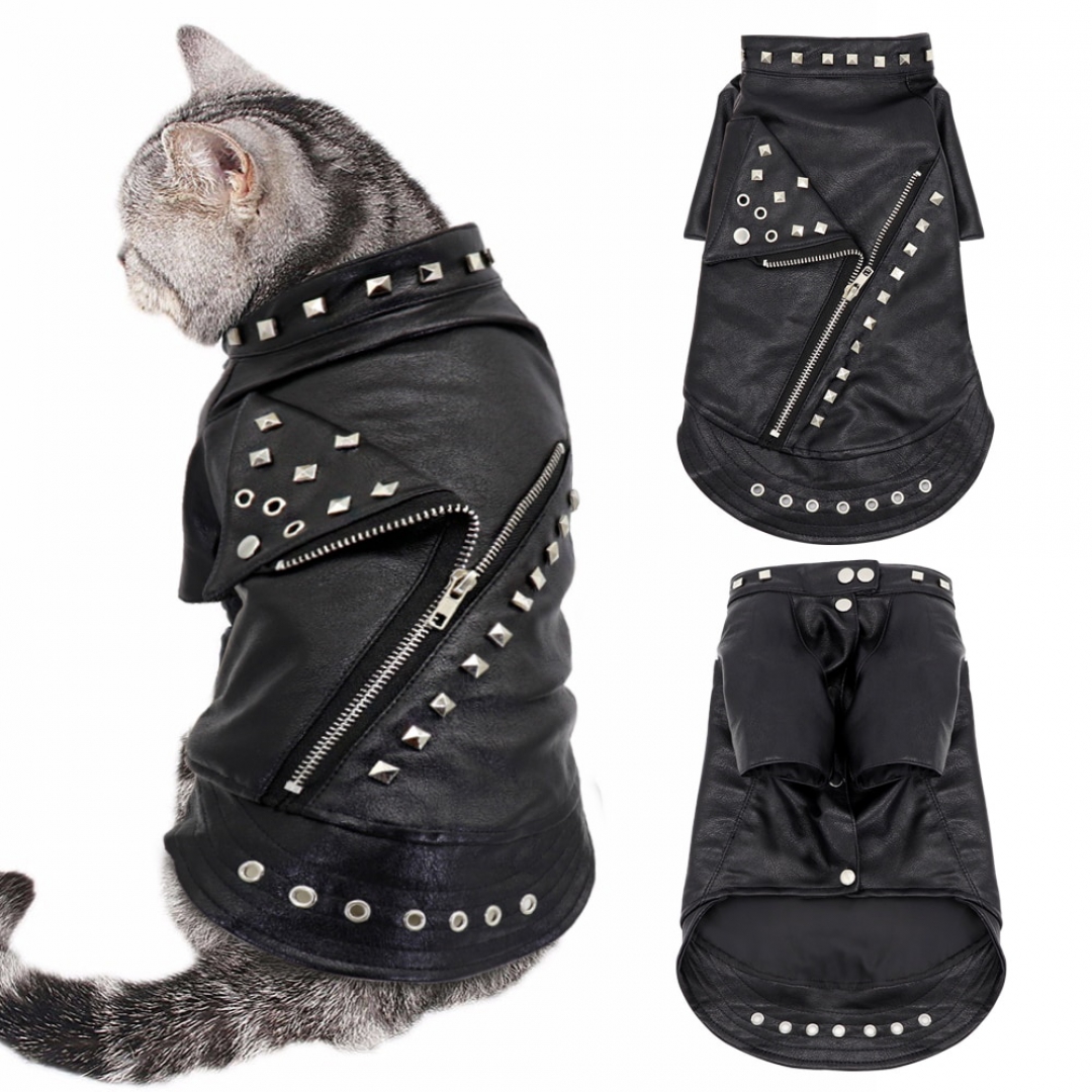 Leather Jacket for Cats In Black Color - Nurturing Pets