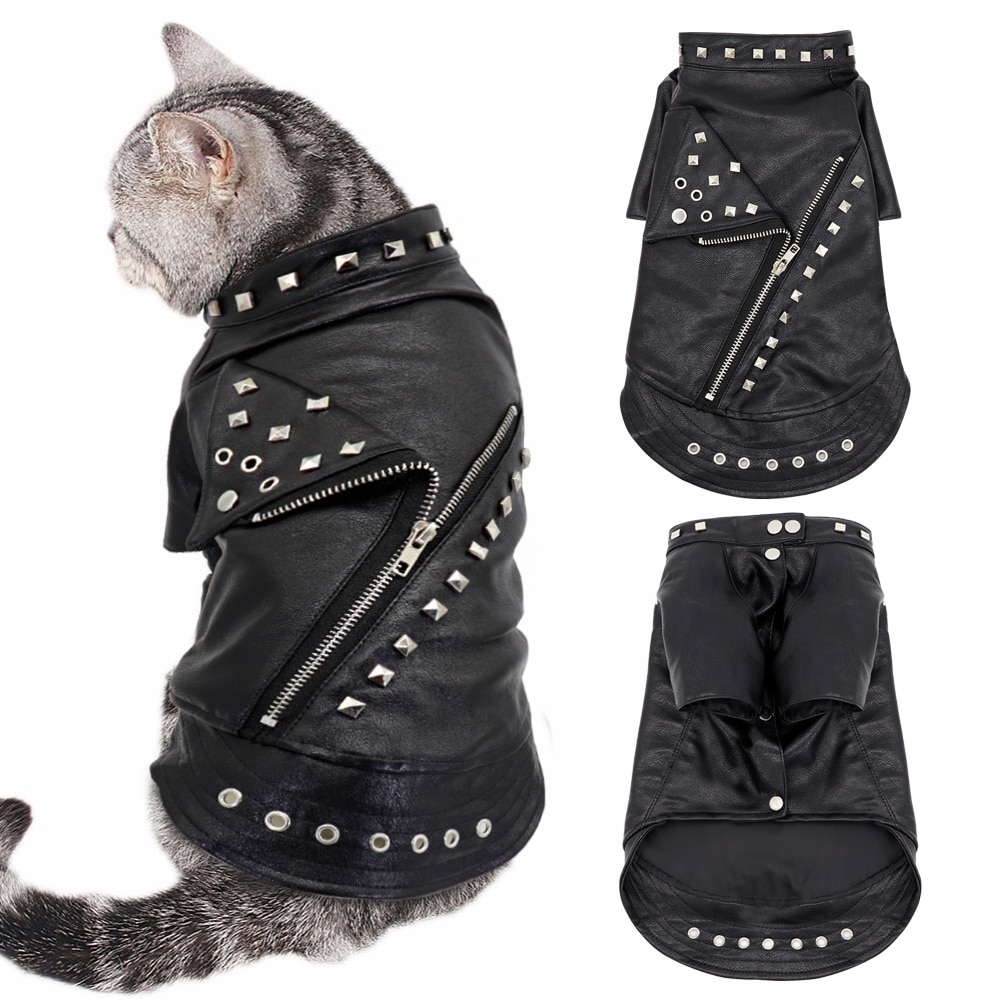 Leather Jacket For Cats In Black Color, Protect Leather From Cats