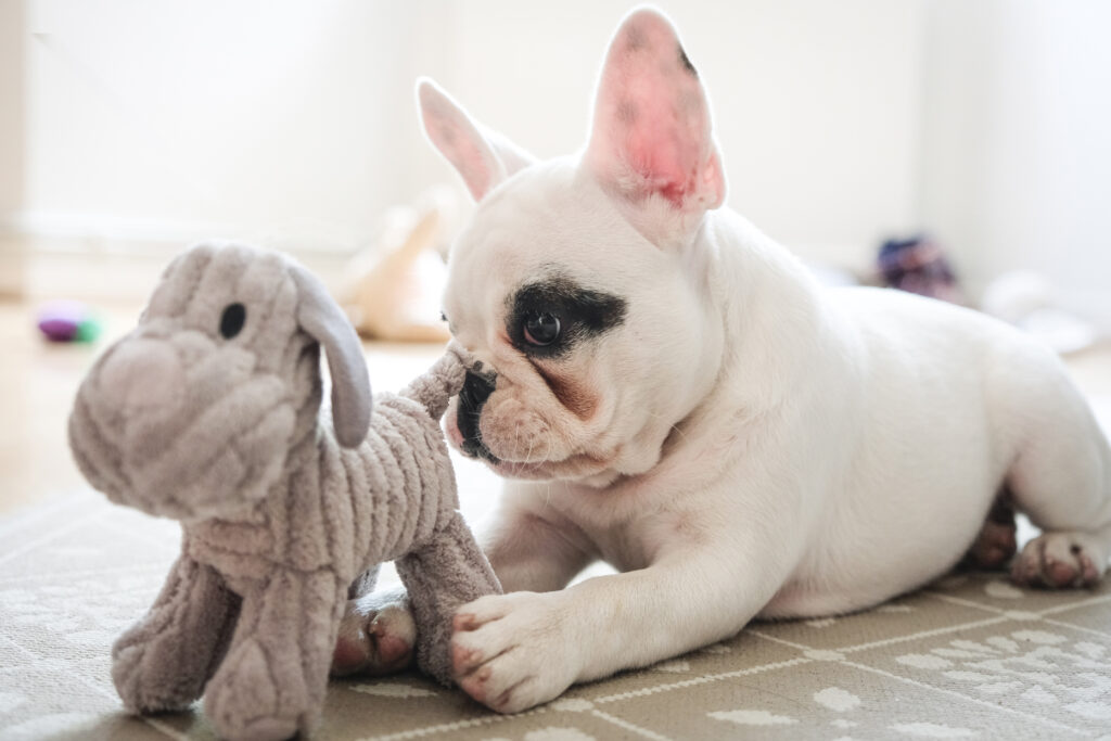 plush dog toys that are indestructible